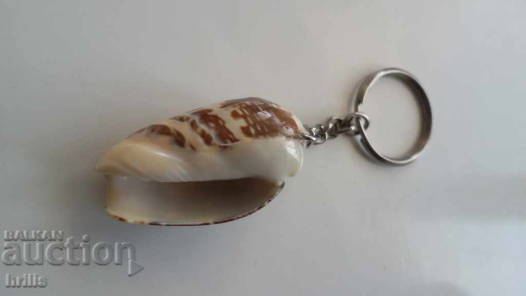 Παράδοση ΚΛΕΙΔΟΘΗΚΗ EXOTIC RAPPEN SNAIL Παράδοση ΚΛΕΙΔΟΘΗΚΗ EXOTIC RAPPEN SNAIL