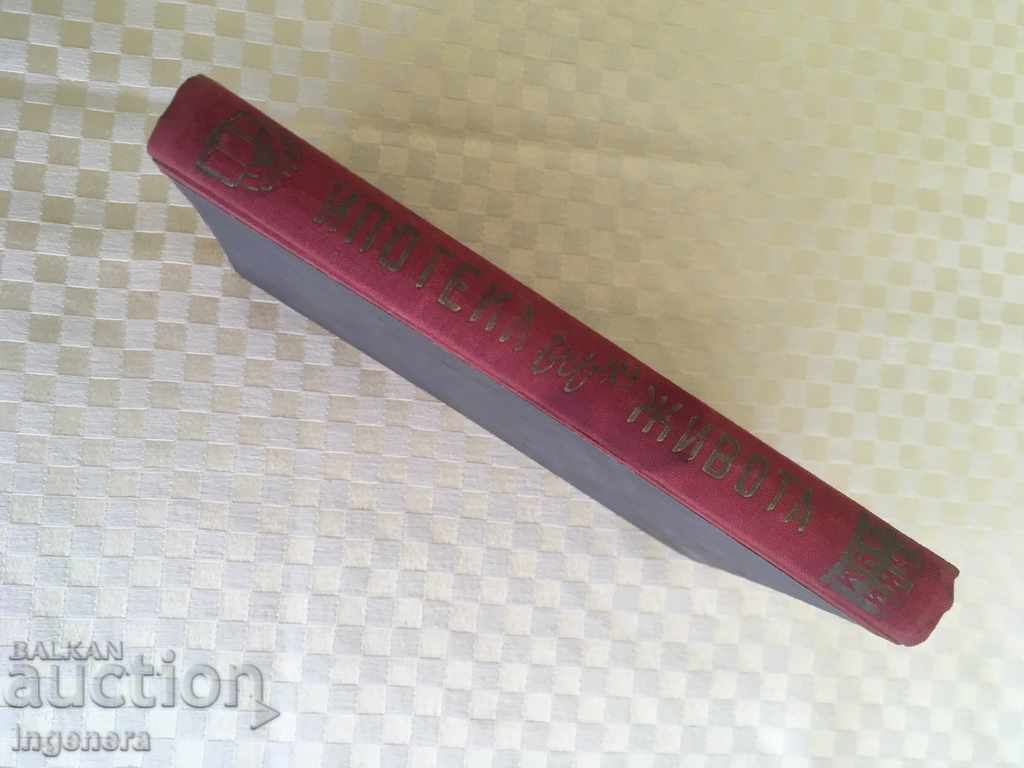 Auction BOOK-BOOK OF BOUM-1948 Auction BOOK-BOOK OF BOUM-1948