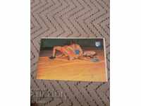 Calendar Levski Spartak 1981