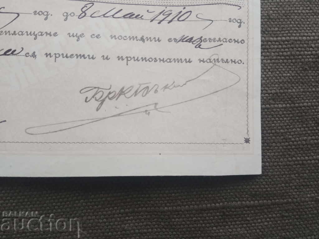 Frații Bâklovi: bon pentru primă cu preț 100.00 BGN | € 51.13