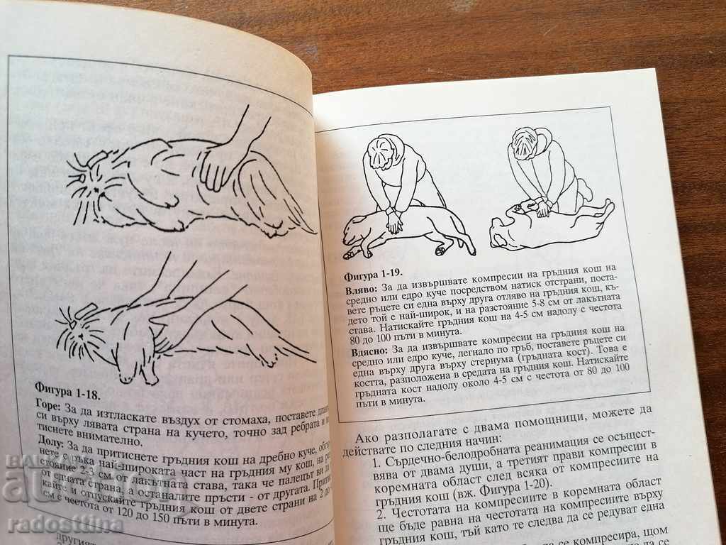 Auction First Aid For Your Dog Michelle Bamberger Auction First Aid For Your Dog Michelle Bamberger