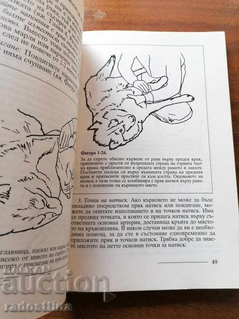 Παράδοση Πρώτες βοήθειες για τον σκύλο σας Μισέλ Μπάμπεργκερ