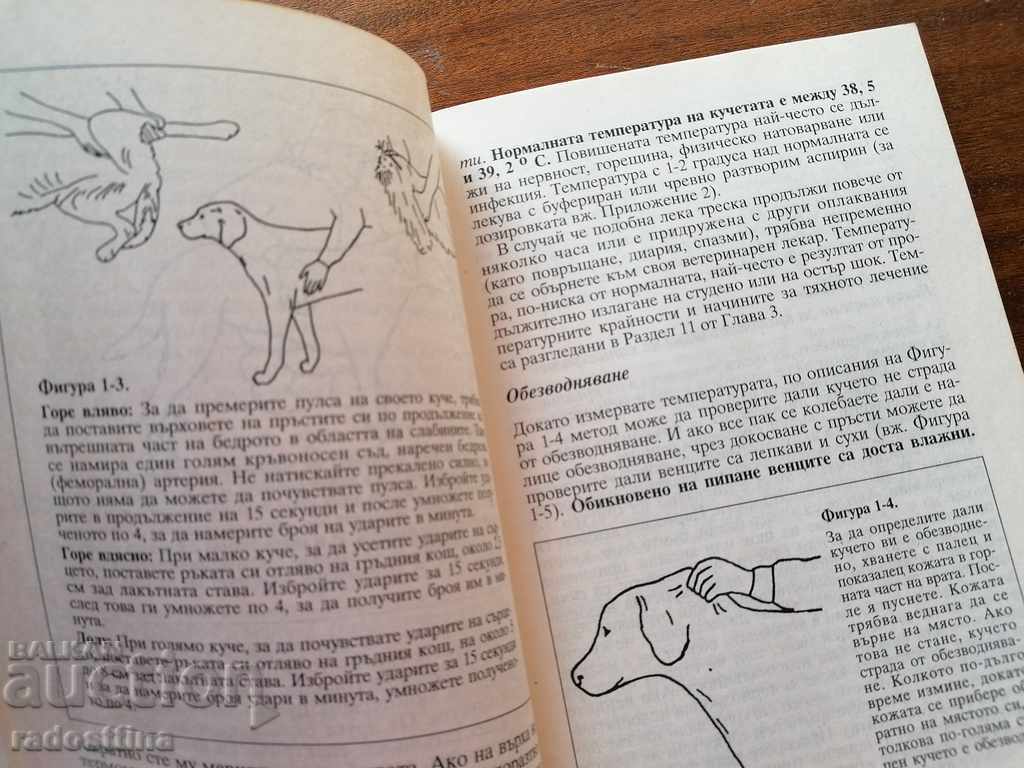 First Aid For Your Dog Michelle Bamberger - 6 First Aid For Your Dog Michelle Bamberger - 6