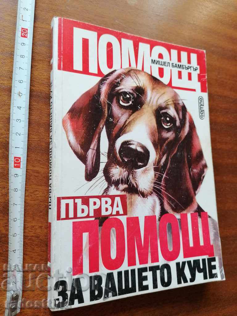 Πρώτες βοήθειες για τον σκύλο σας Μισέλ Μπάμπεργκερ