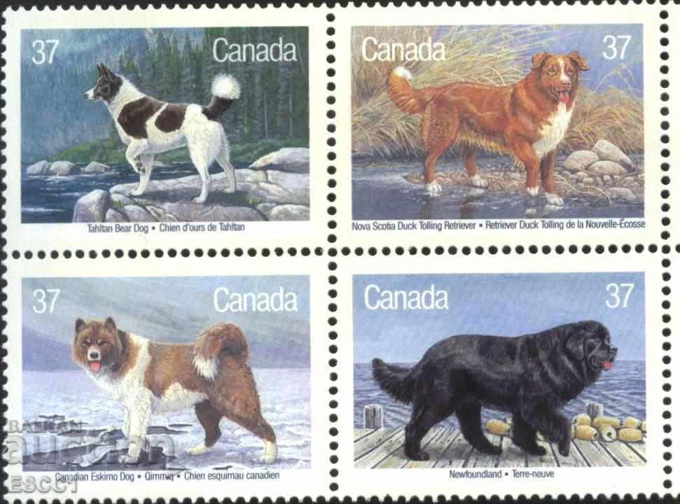 Καθαρά σκυλιά μάρκας 1988 από τον Καναδά