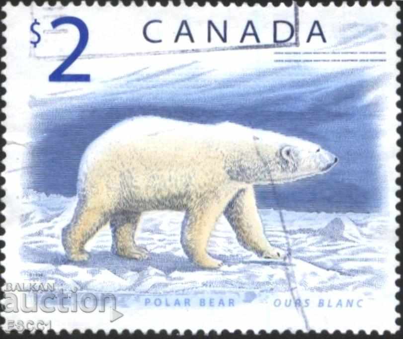 Branded Fauna White Bear 1998 from Canada
