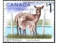 Fauna de brand a Belopashat Ellen 2005 din Canada