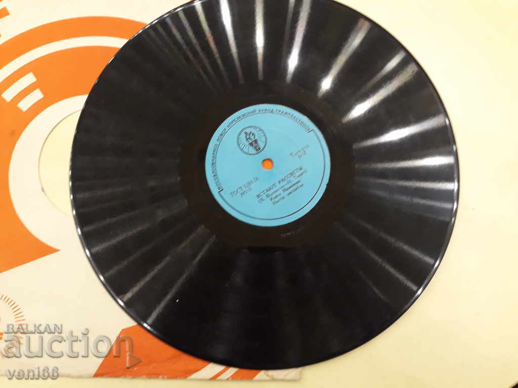 Δημοπρασία Πλαστικοποιητής - ασβεστοκρυσταλλική μπαχλίττη Δημοπρασία Πλαστικοποιητής - ασβεστοκρυσταλλική μπαχλίττη