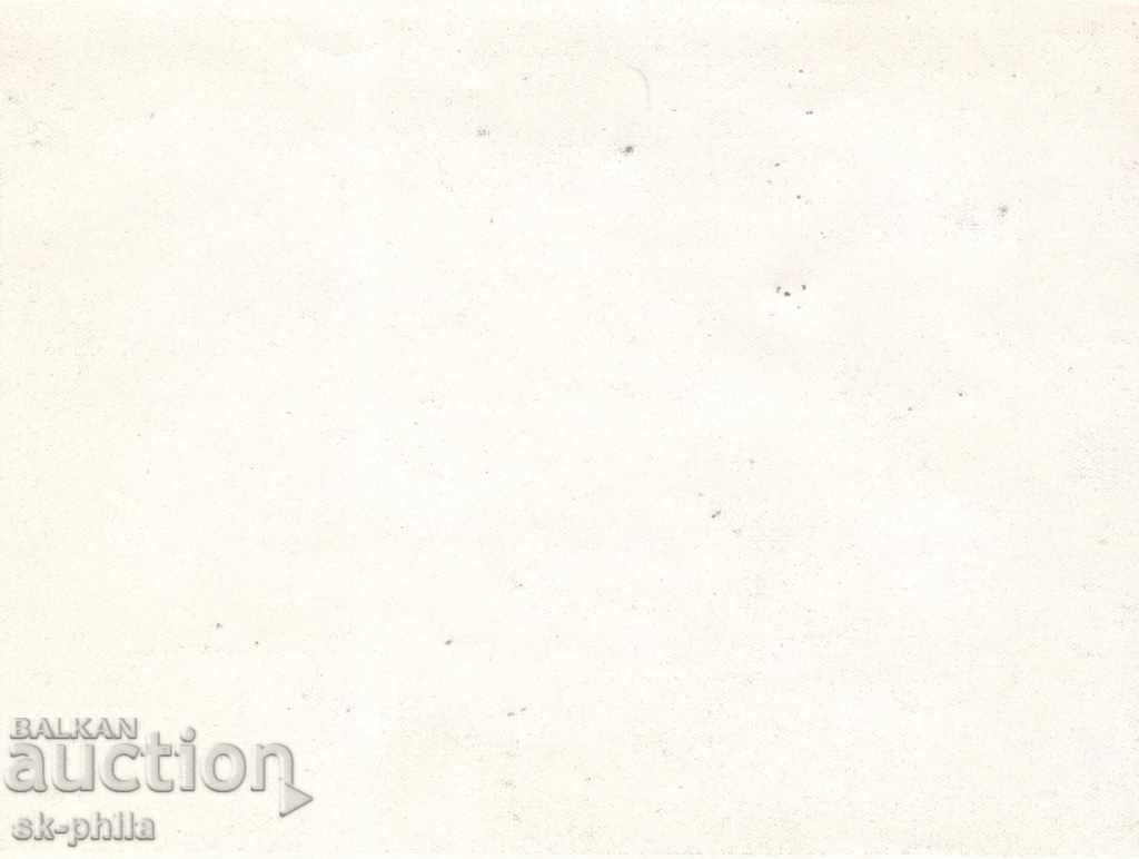 Old photo - WWII German soldiers with price 3.00 BGN | € 1.53 Old photo - WWII German soldiers with price 3.00 BGN | € 1.53