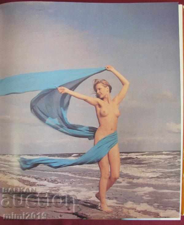 Auction 60 Photo Album Album AKTFOTOGRAFIE Auction 60 Photo Album Album AKTFOTOGRAFIE