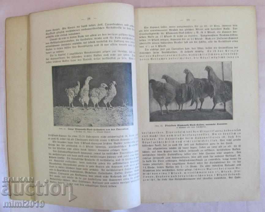 Delivery of The 30 Chicken Breeding Book by Das Kapaunisieren Delivery of The 30 Chicken Breeding Book by Das Kapaunisieren