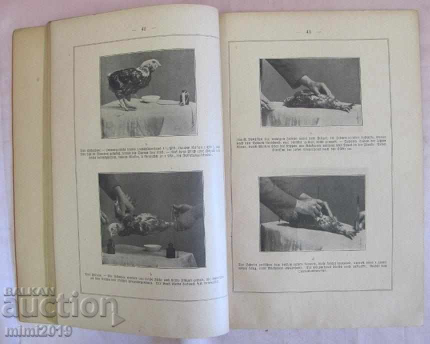 The 30 Chicken Breeding Book by Das Kapaunisieren - 5 The 30 Chicken Breeding Book by Das Kapaunisieren - 5