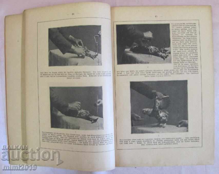 The 30 Chicken Breeding Book by Das Kapaunisieren - 6 The 30 Chicken Breeding Book by Das Kapaunisieren - 6