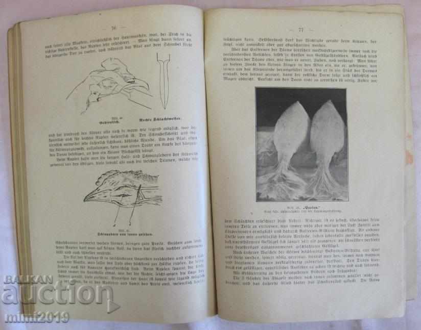 The 30 Chicken Breeding Book by Das Kapaunisieren - 7 The 30 Chicken Breeding Book by Das Kapaunisieren - 7