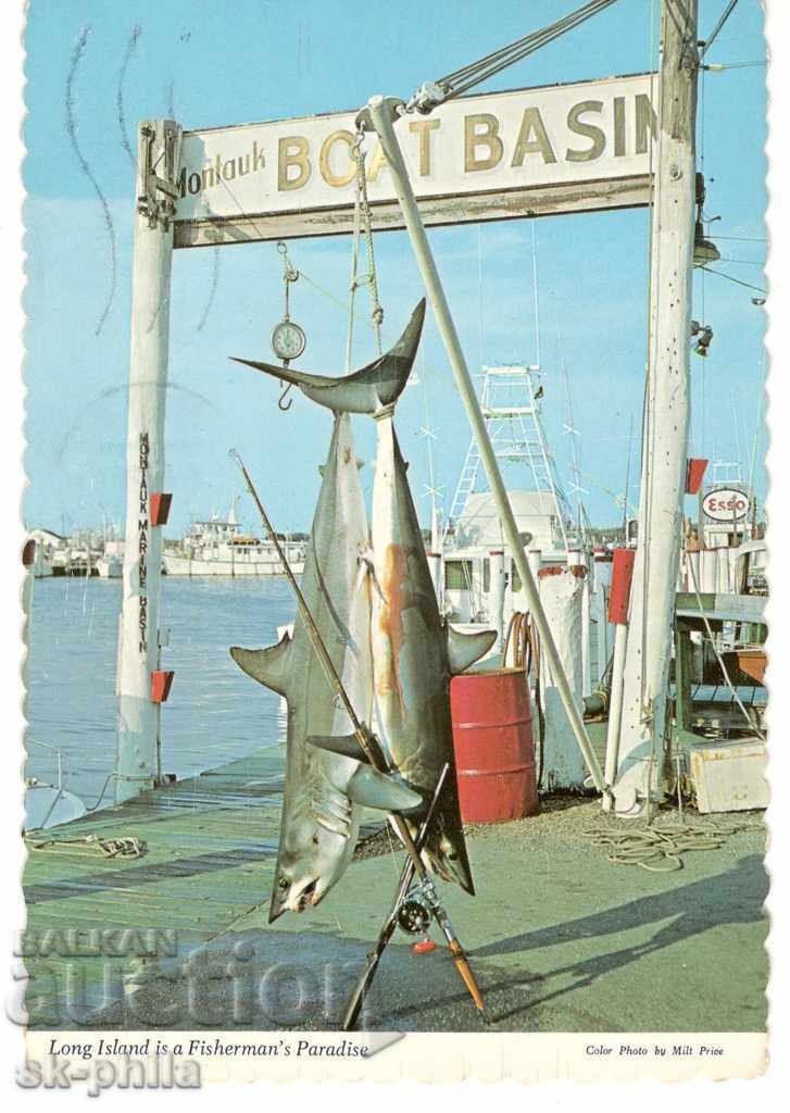Carte poștală veche - Paradisul pescarului din Long Island
