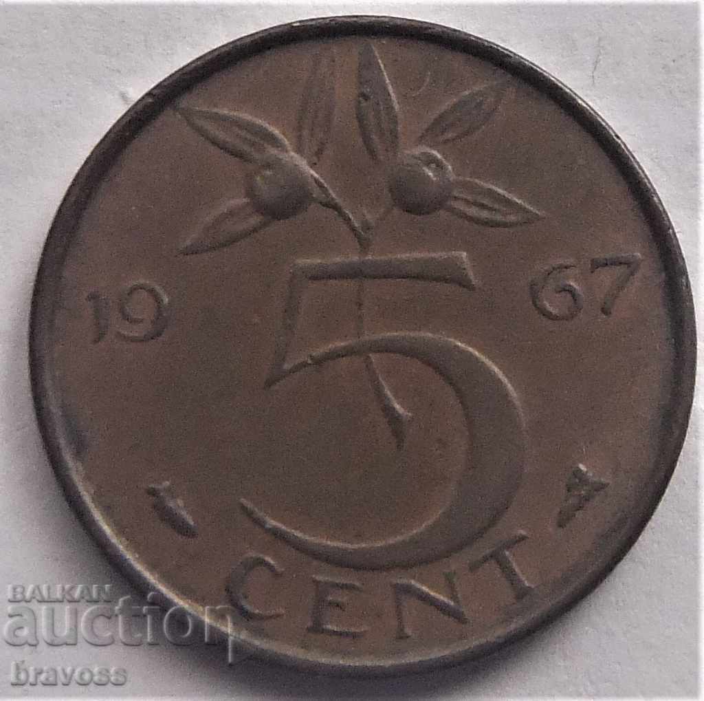 Olanda - 5 c..1967