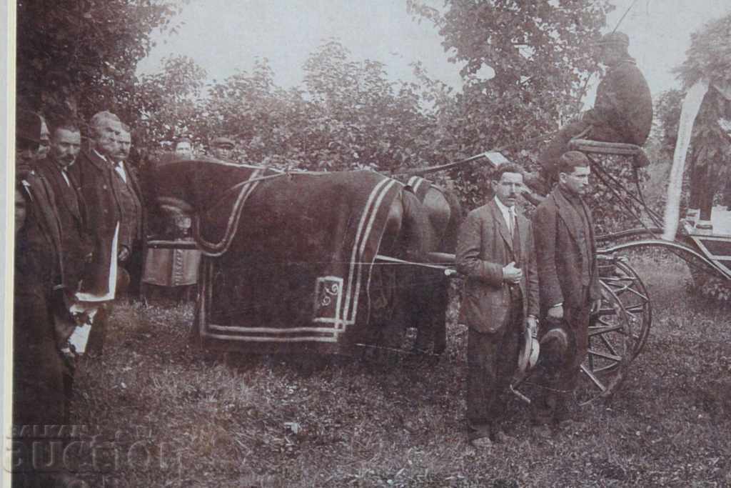 Delivery of . BURIAL CARRIAGE CARRIAGE HORSE OLD PHOTO CARDBOARD Delivery of . BURIAL CARRIAGE CARRIAGE HORSE OLD PHOTO CARDBOARD
