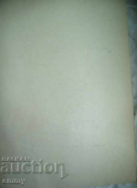 Pencil drawing of a woman's head unsigned 35cm x 50cm - 5