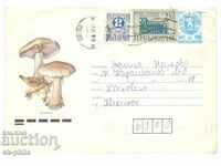 Post envelope - Mushrooms - Violet