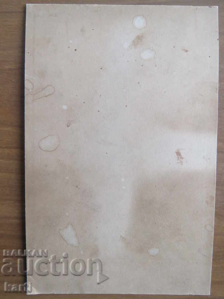 Auction  STAR PHOTOGRAPHY - CARD