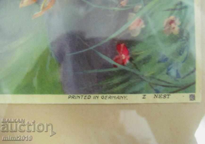 Old Chromolithograph in original wooden frame with glass - 5