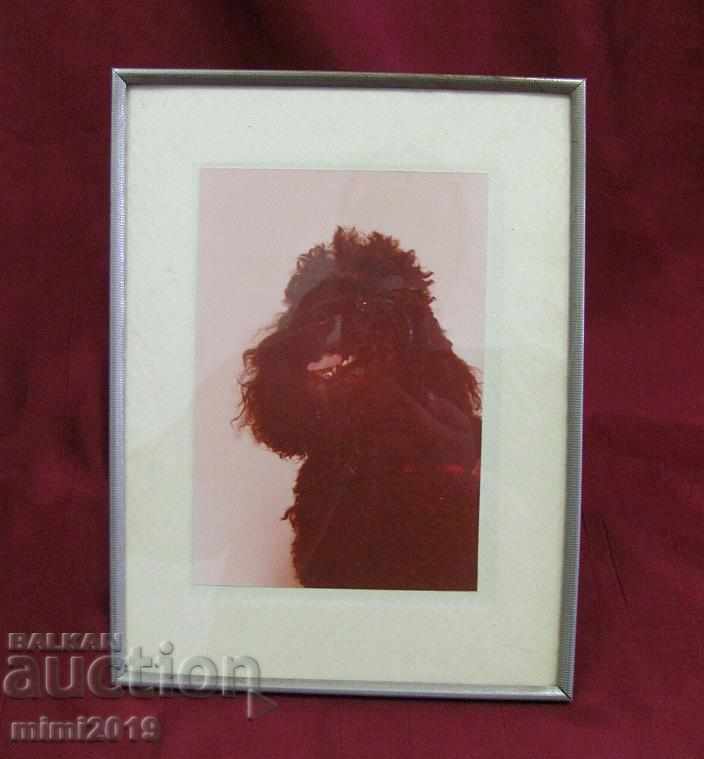 Delivery of 30's Art Deco Photo Frame Delivery of 30's Art Deco Photo Frame