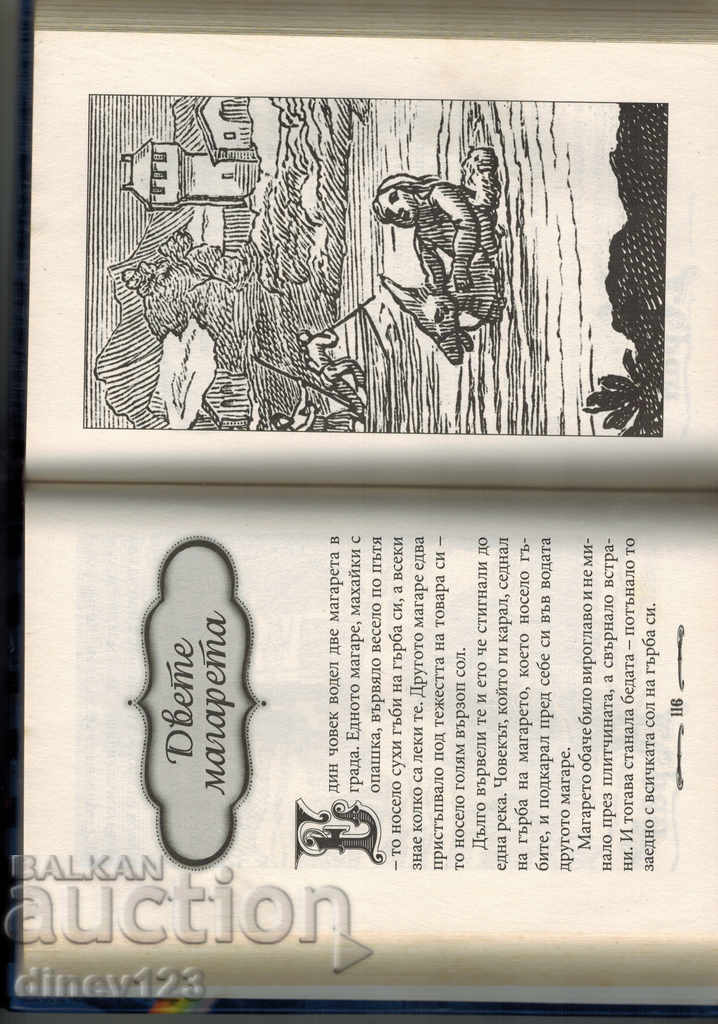 THE FALLS OF LAFONTEN, STOYAN MIKHAILOVSKI, PETKO R. SLAVEYKOV - 6