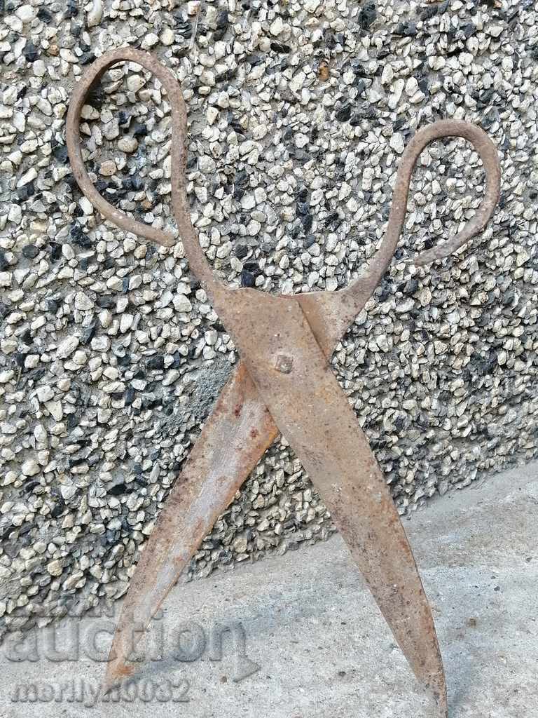 Renaissance forged scissors, wrought iron - 7 Renaissance forged scissors, wrought iron - 7