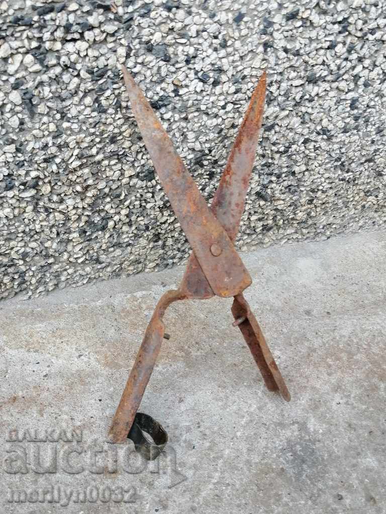 Foarfece vechi, fier forjat - 5 Foarfece vechi, fier forjat - 5