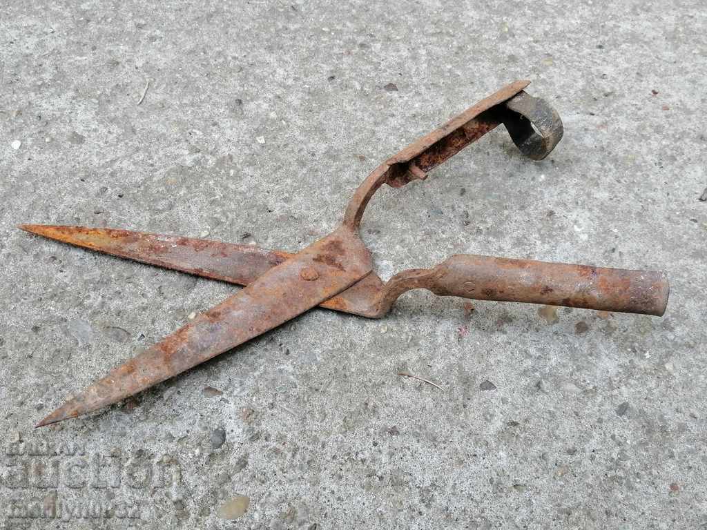 Foarfece vechi, fier forjat - 6 Foarfece vechi, fier forjat - 6