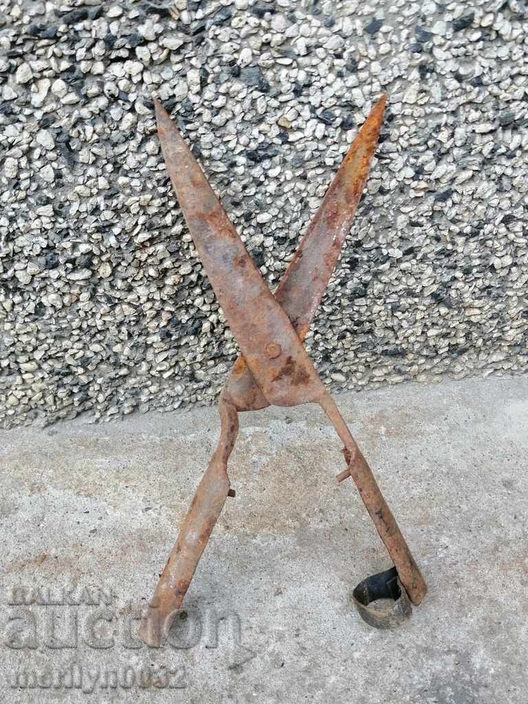 Foarfece vechi, fier forjat - 7 Foarfece vechi, fier forjat - 7