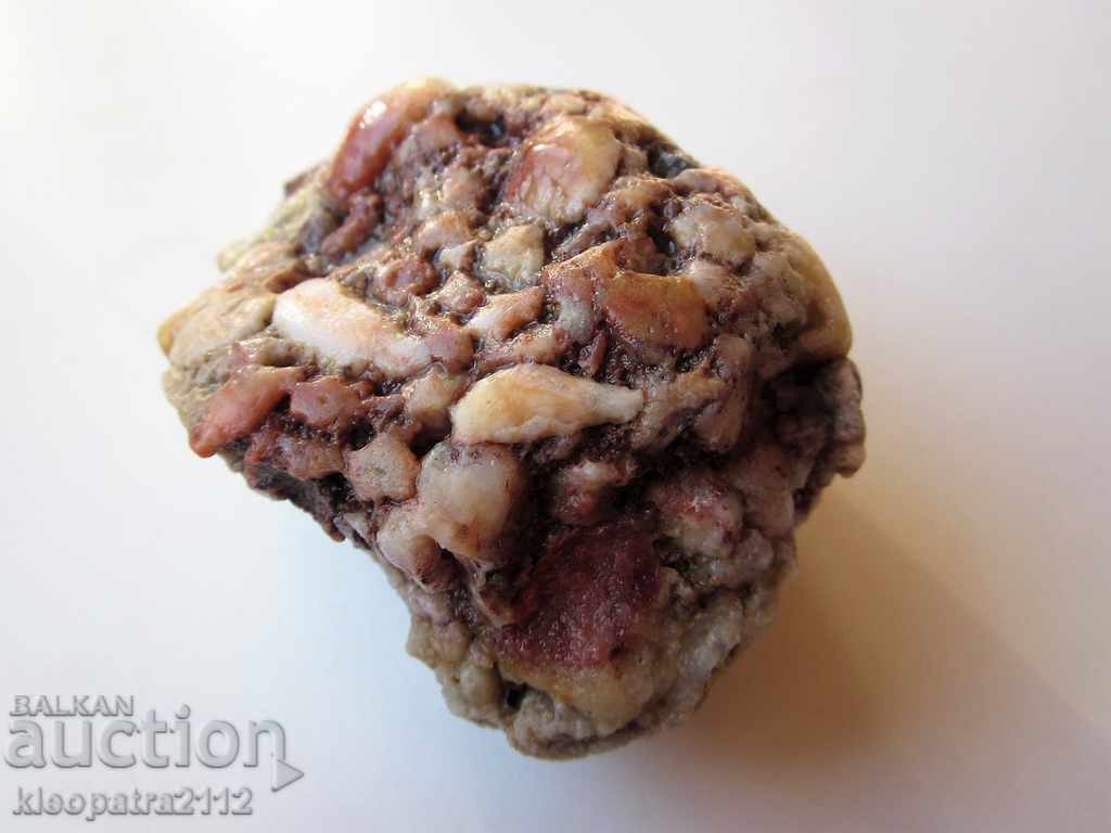 ФОСИЛ - МНОГО РЯДЪК И КРАСИВ. с цена 15.00 лв. | € 7.67 ФОСИЛ - МНОГО РЯДЪК И КРАСИВ. с цена 15.00 лв. | € 7.67