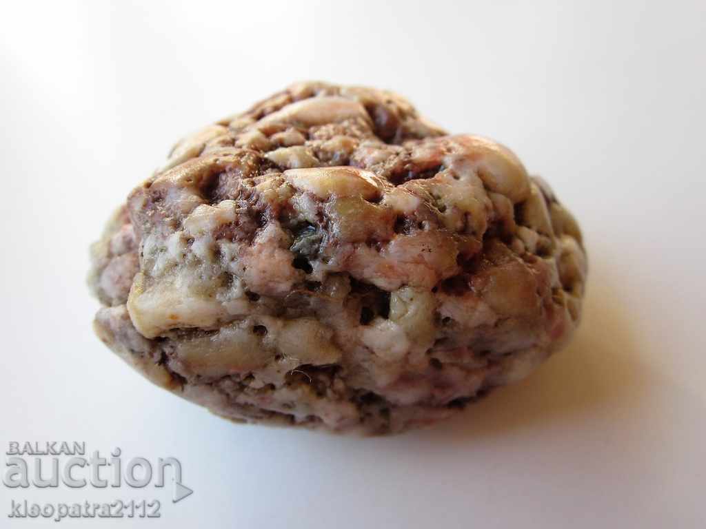 Аукцион ФОСИЛ - МНОГО РЯДЪК И КРАСИВ. Аукцион ФОСИЛ - МНОГО РЯДЪК И КРАСИВ.