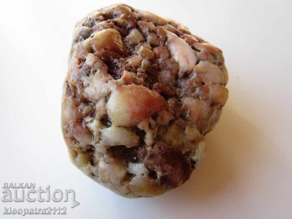 Доставка на ФОСИЛ - МНОГО РЯДЪК И КРАСИВ. Доставка на ФОСИЛ - МНОГО РЯДЪК И КРАСИВ.