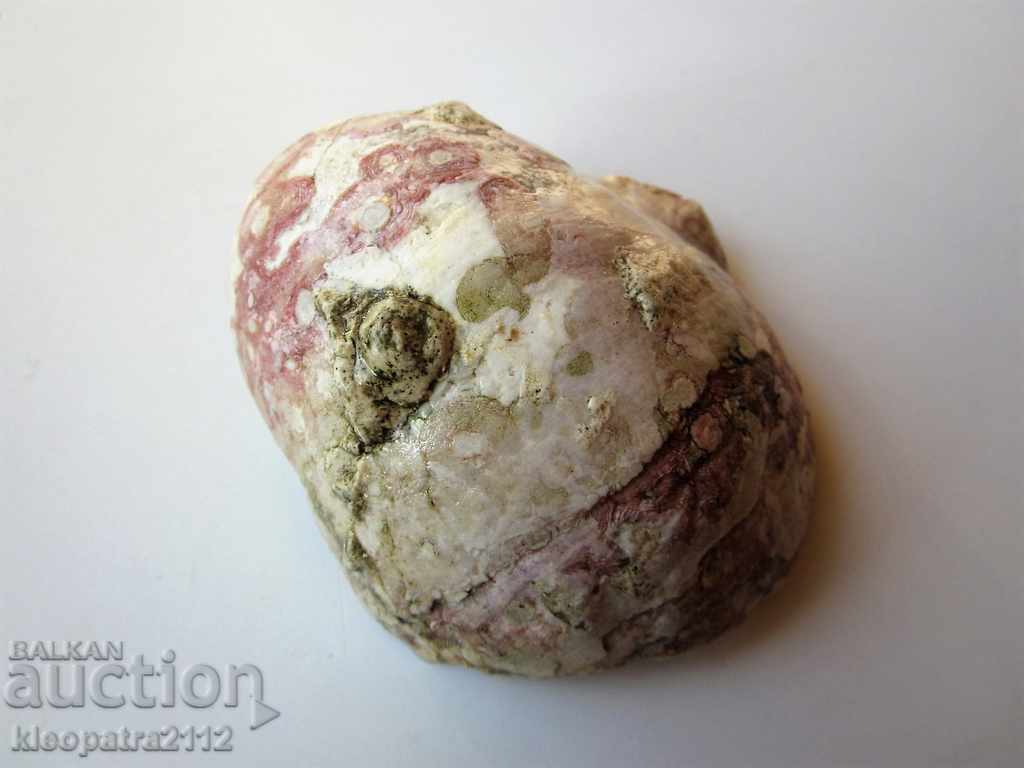 ГОЛЯМ ФОСИЛ - МНОГО РЯДЪК И КРАСИВ. - 5 ГОЛЯМ ФОСИЛ - МНОГО РЯДЪК И КРАСИВ. - 5