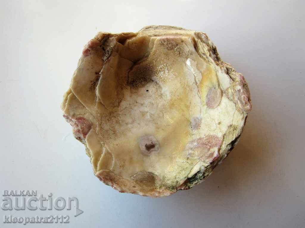 ГОЛЯМ ФОСИЛ - МНОГО РЯДЪК И КРАСИВ. - 6 ГОЛЯМ ФОСИЛ - МНОГО РЯДЪК И КРАСИВ. - 6