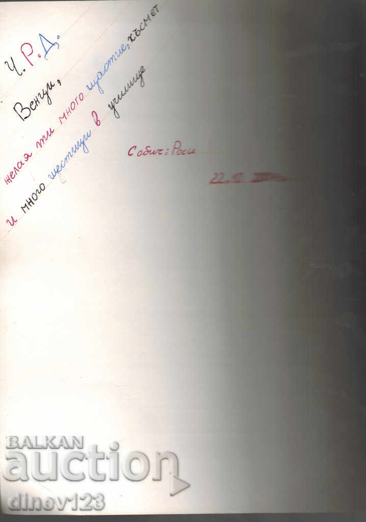 Auction WOLVES AND WILD DOGS Auction WOLVES AND WILD DOGS