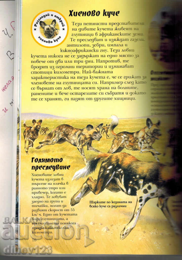 Delivery of WOLVES AND WILD DOGS Delivery of WOLVES AND WILD DOGS