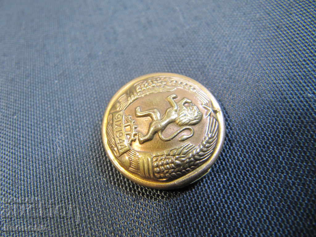 Bulgarian Navy Button from Military Uniform, Coat of Arms of the People's Republic of Bulgaria with price 20.00 BGN | € 10.23
