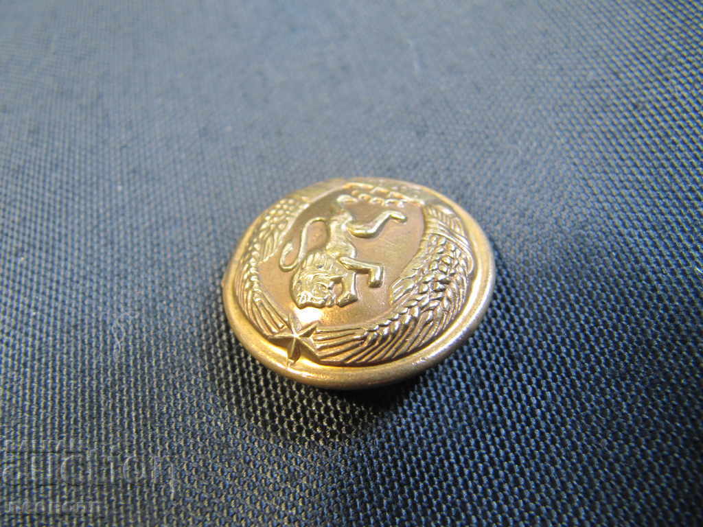 Auction  Bulgarian Navy Button from Military Uniform, Coat of Arms of the People's Republic of Bulgaria