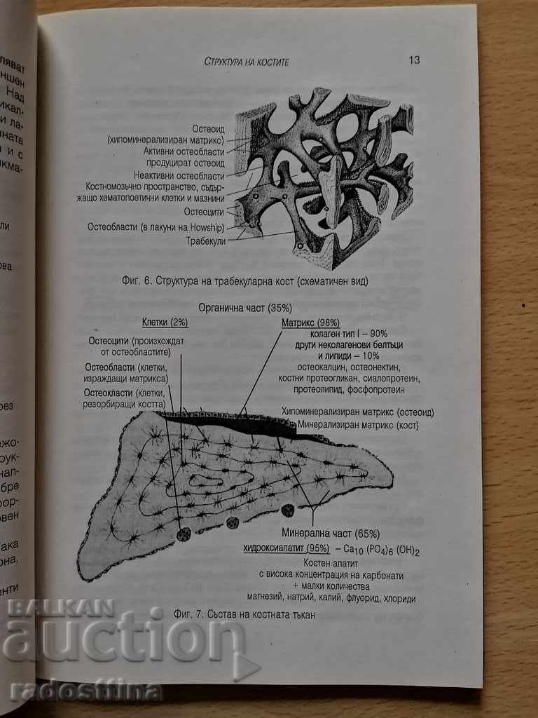 Osteoporosis Jordan Sheitanov with price 10.00 BGN | € 5.11 Osteoporosis Jordan Sheitanov with price 10.00 BGN | € 5.11