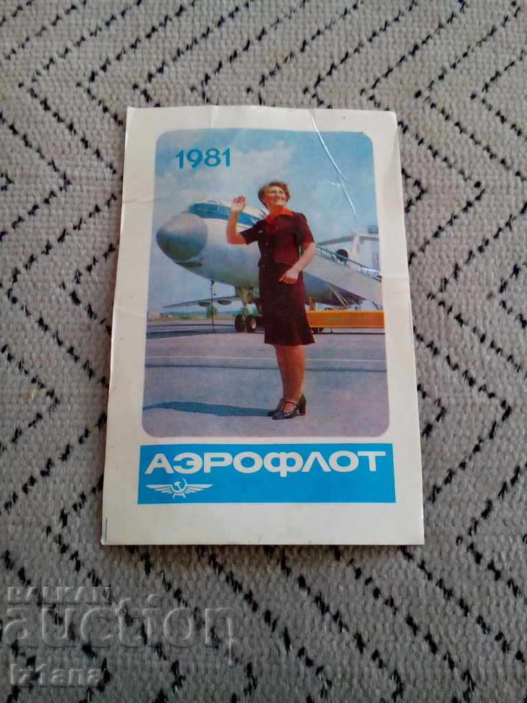 Ημερολόγιο Aeroflot 1981