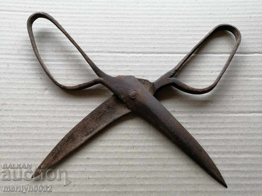 Delivery of Renaissance forged scissors, wrought iron