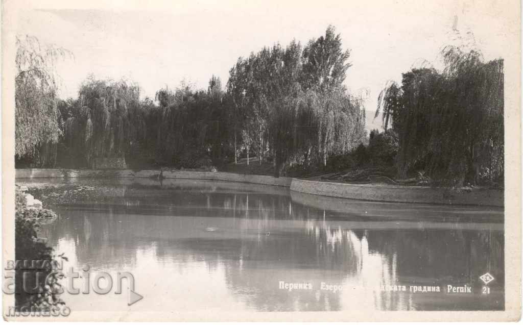 Old postcard - Pernik, The lake in the city garden