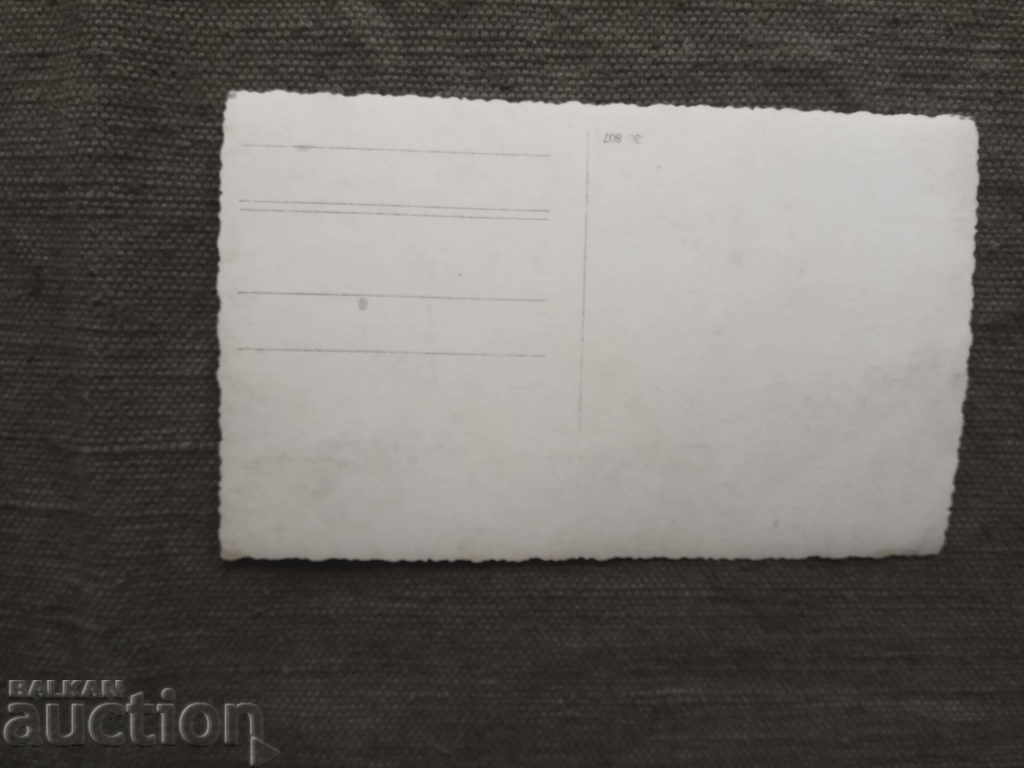 пред колата с цена 20.00 лв. | € 10.23