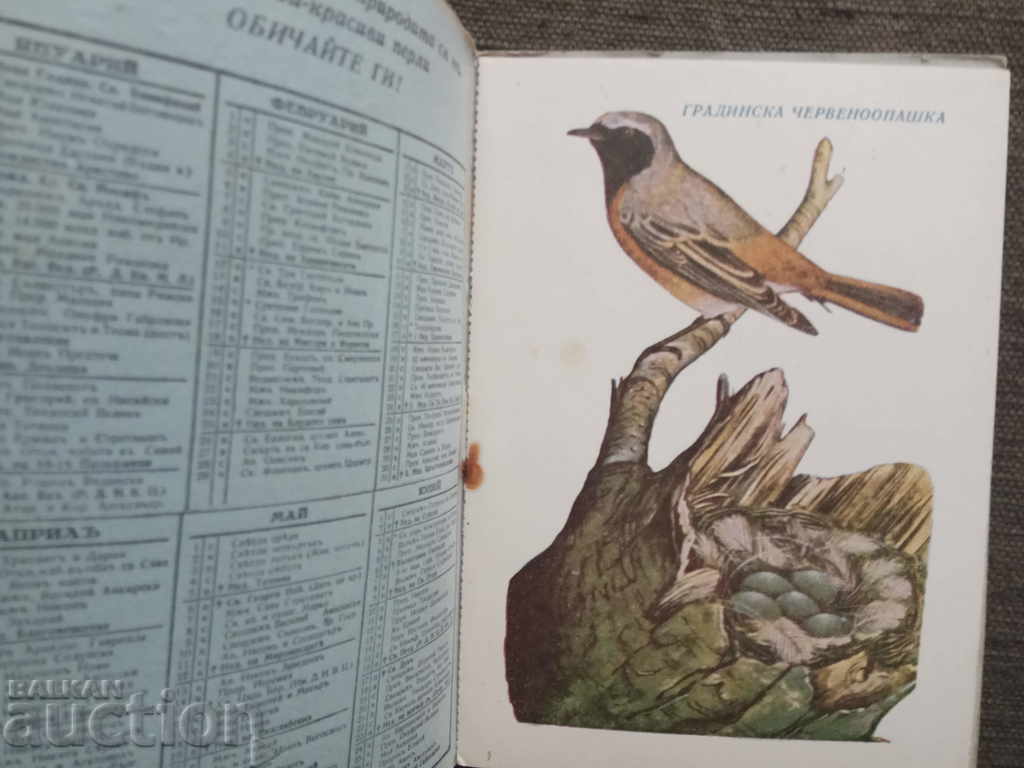 Nature magazine calendar for 1940. with price 30.00 BGN | € 15.34 Nature magazine calendar for 1940. with price 30.00 BGN | € 15.34