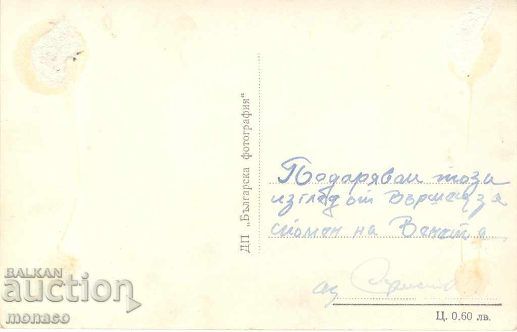 Old postcard - Varshets, Corner of the park with price 1.50 BGN | € 0.77 Old postcard - Varshets, Corner of the park with price 1.50 BGN | € 0.77