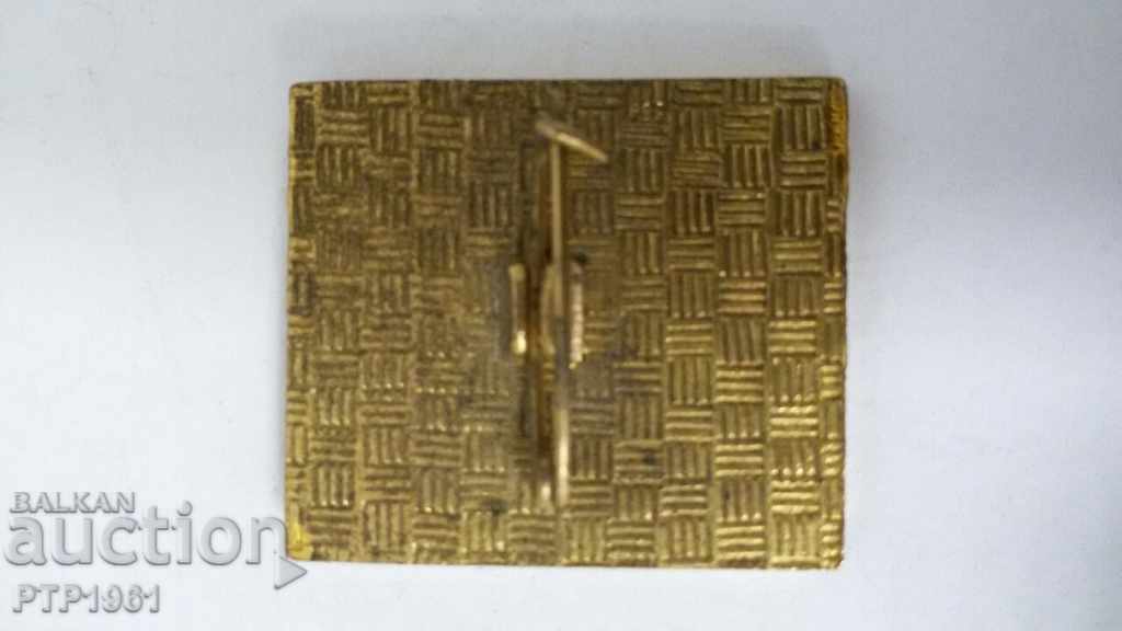 значка-партия с цена € 1.00 | 1.96 лв.