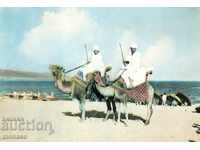 Παλιά καρτ ποστάλ - Nessebar, Exotics A-251