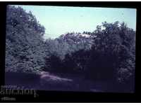 Μονή Νοσταλγίας Slide του Turnovo 60s